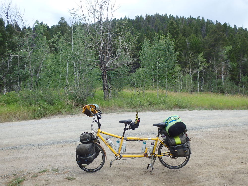 GDMBR: That's the 'Bee', a da Vinci Tandem, fully loaded and self contained for touring the Great Divide Mountain Bike Route at an un-named pass entering the Beaverhead-Deerlodge National Forest from the north.